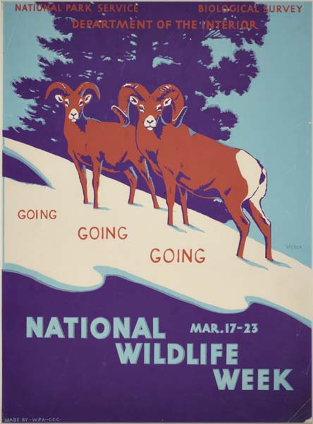 WEBER (DATES UNKNOWN) NATIONAL WILDLIFE WEEK. Circa 1938. 19x14 inches.